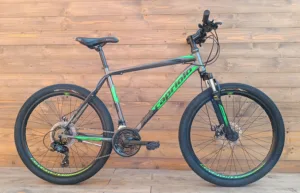 Bicicleta MTB 26 Capriolo Oxygen argintiu verde 20