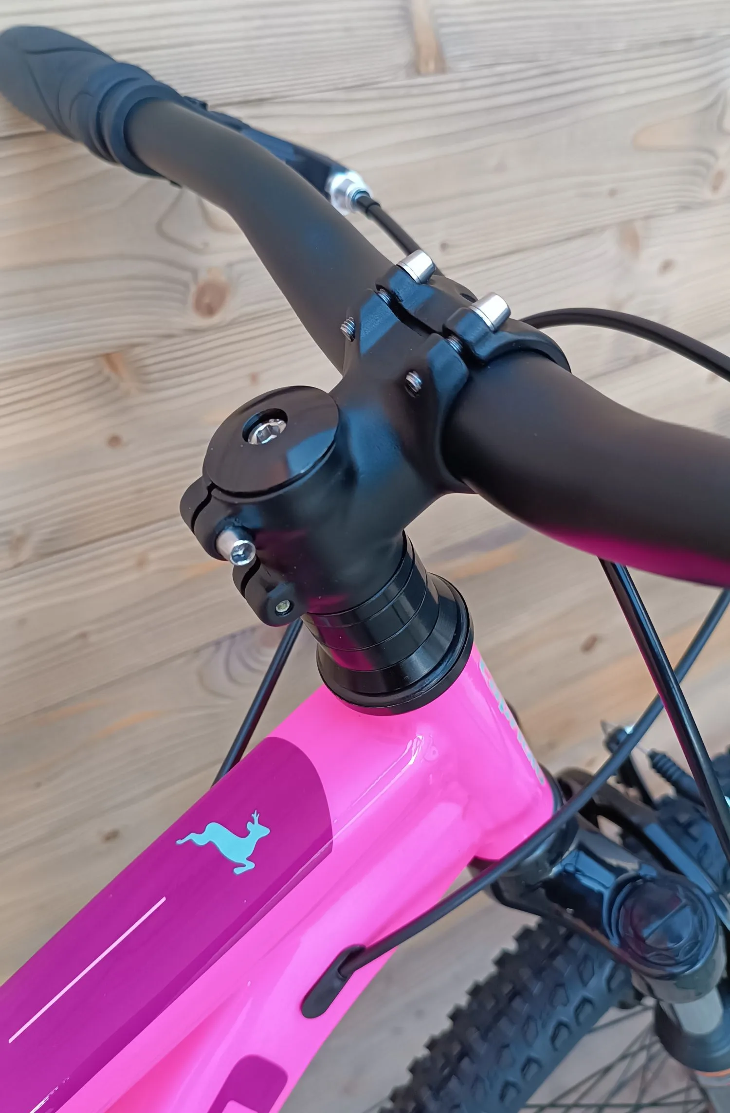 Bicicleta copii 24 Capriolo Oxygen V-brake pink albastru 12 - imagine 3