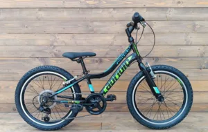 Bicicleta copii 20 Capriolo Diavolo negru verde 11