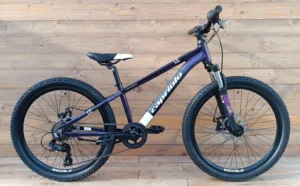 Bicicleta copii 24 Capriolo LC aluminiu violet albastru 12