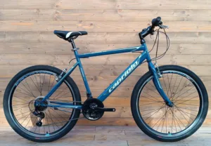 Bicicleta MTB 26 Capriolo Passion barbati albastru gri 21