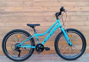 Bicicleta copii 24 Capriolo Diavolo albastru 12