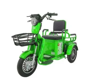 Triciclu electric RDB SINOE PRO, verde, 1160W, fara permis