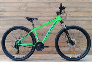 Bicicleta MTB 29 Capriolo Oxygen verde negru 16