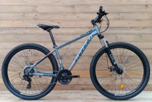 Bicicleta MTB 29 Capriolo Oxygen gri rosu 16