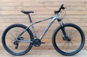 Bicicleta MTB 29 Capriolo LC magnet 19