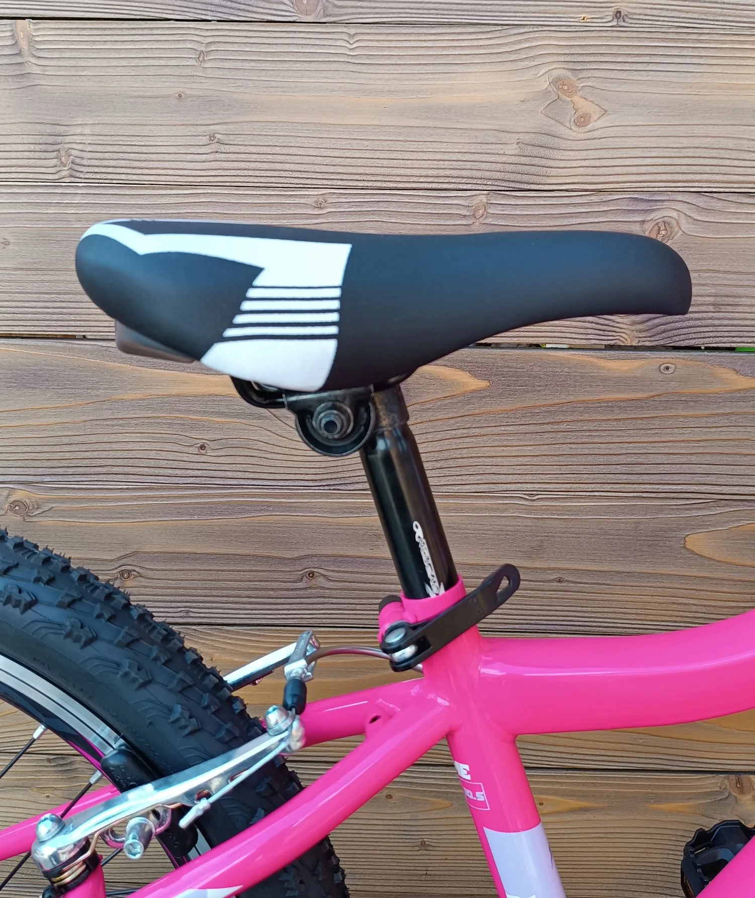 Bicicleta copii 20 Capriolo Diavolo pink violet 11 - imagine 10