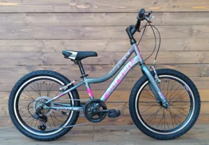 Bicicleta copii 20 Capriolo Diavolo gri violet 11