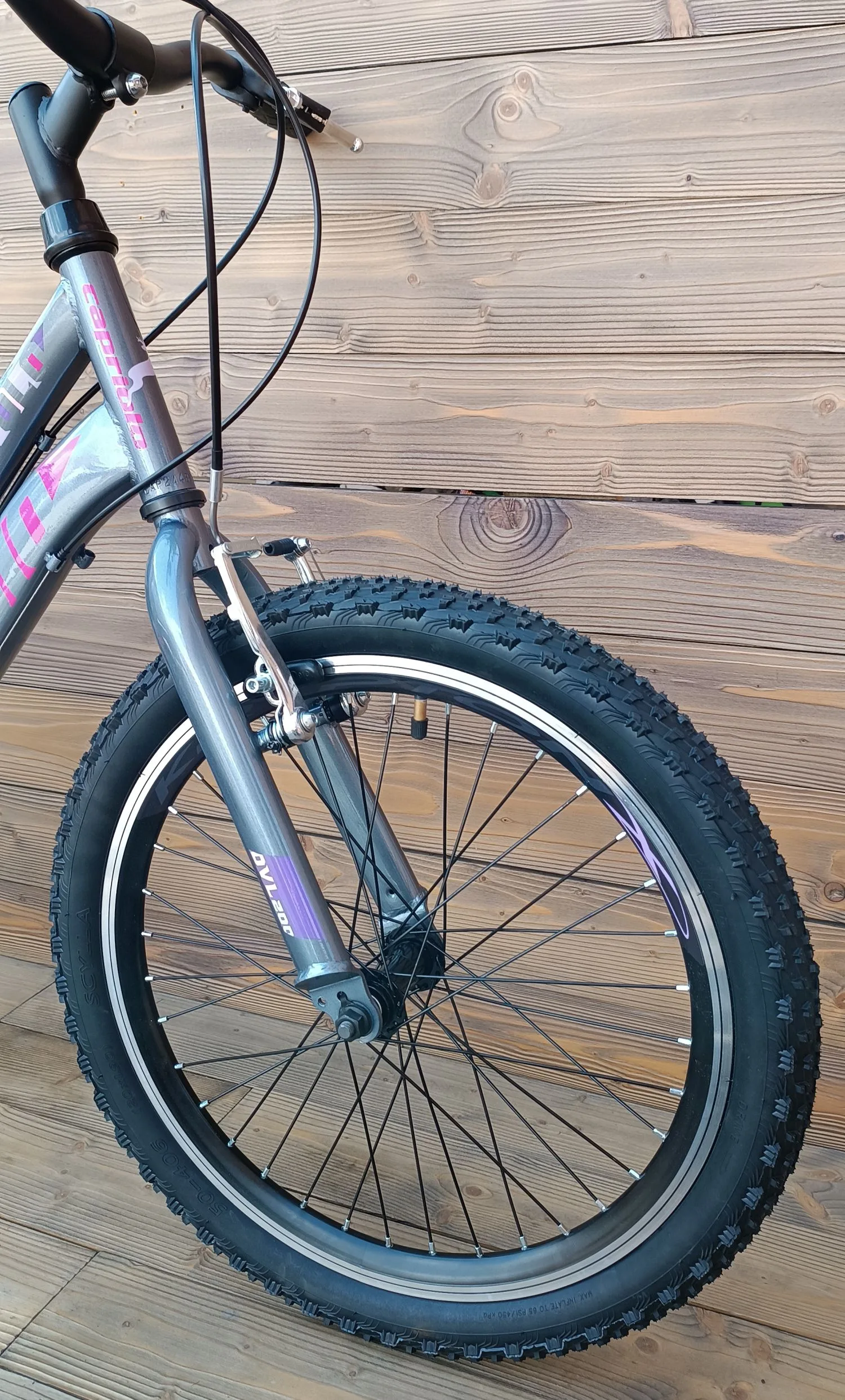 Bicicleta copii 20 Capriolo Diavolo gri violet 11 - imagine 3