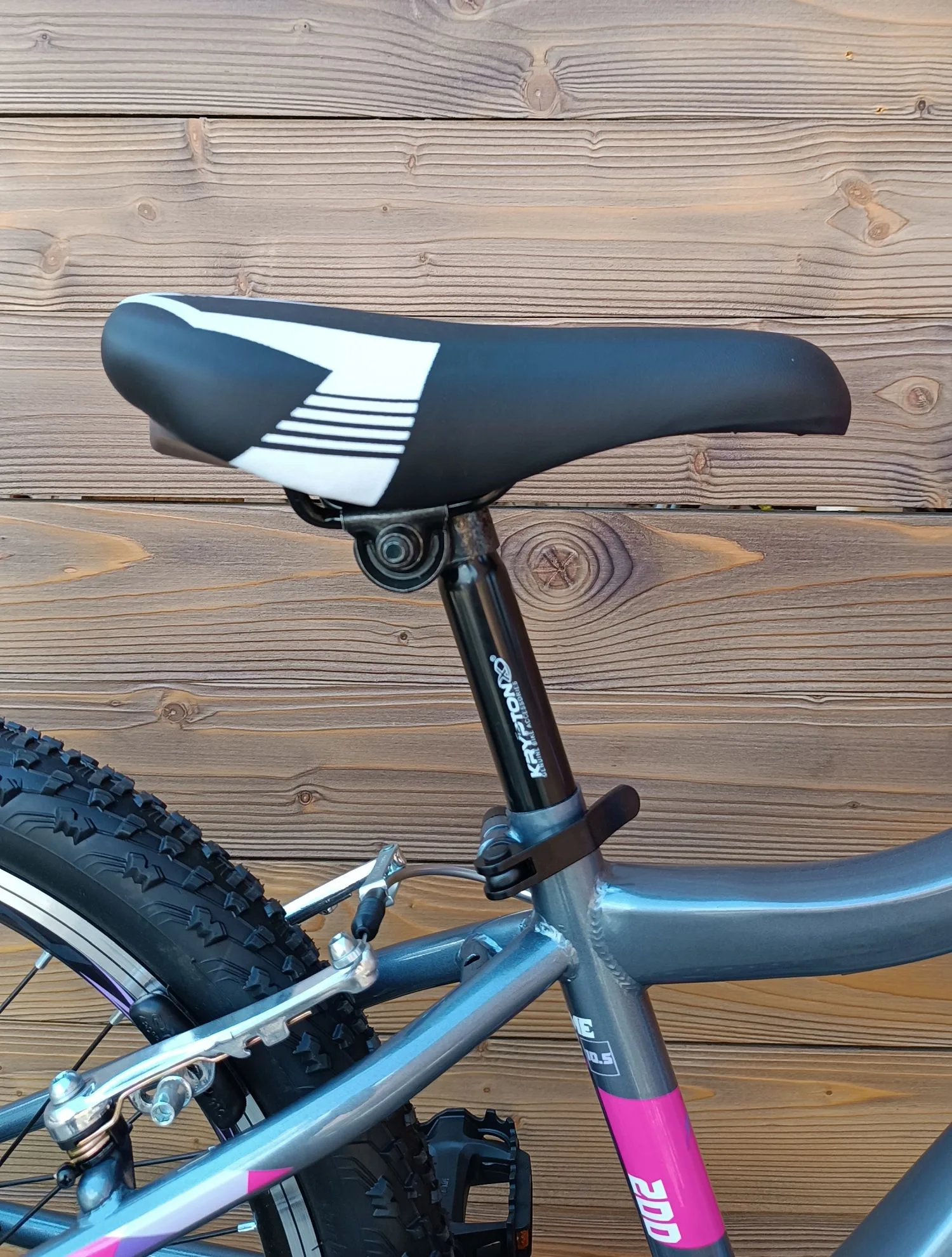 Bicicleta copii 20 Capriolo Diavolo gri violet 11 - imagine 10