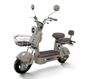 Scuter electric RDB PARIS, maro gri, 600W, fara permis