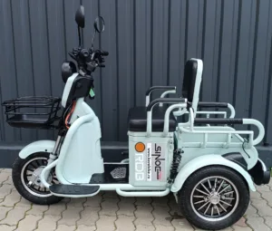 Triciclu electric RDB SINOE PRO, verde, 1160W, fara permis