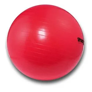 Minge gimnastica Power 55cm albastru Spartan