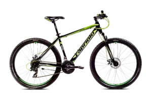 Bicicleta MTB 29 Capriolo Oxygen verde negru 21