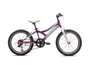 Bicicleta copii 20 Capriolo Diavolo bordo turcoaz 11