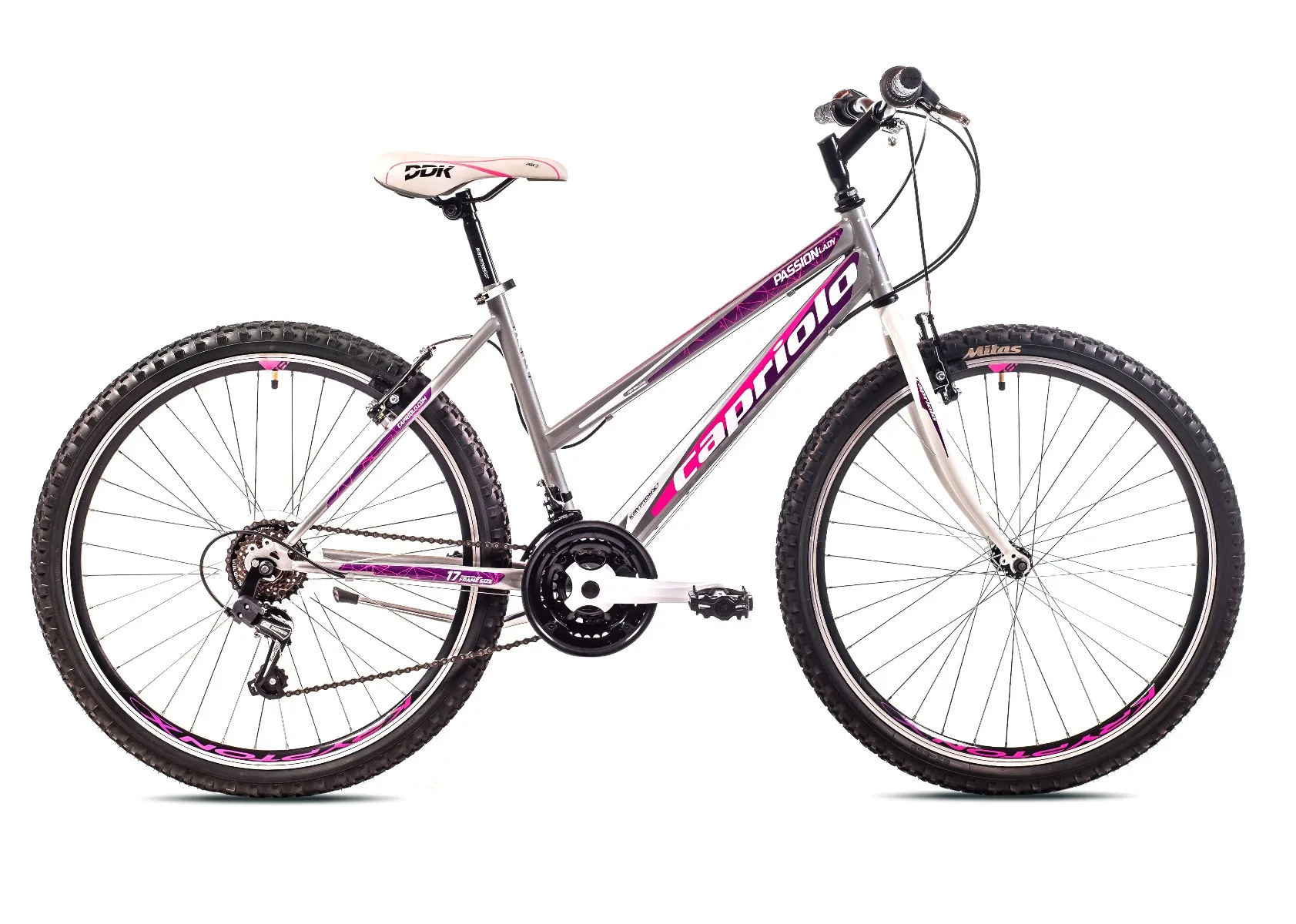 Bicicleta MTB 26 Capriolo Passion dama gri violet 17