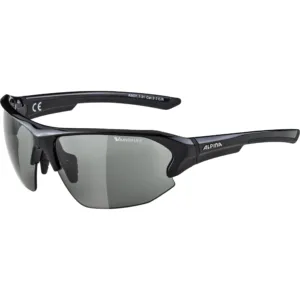 Ochelari Alpina LYRON HR black VL