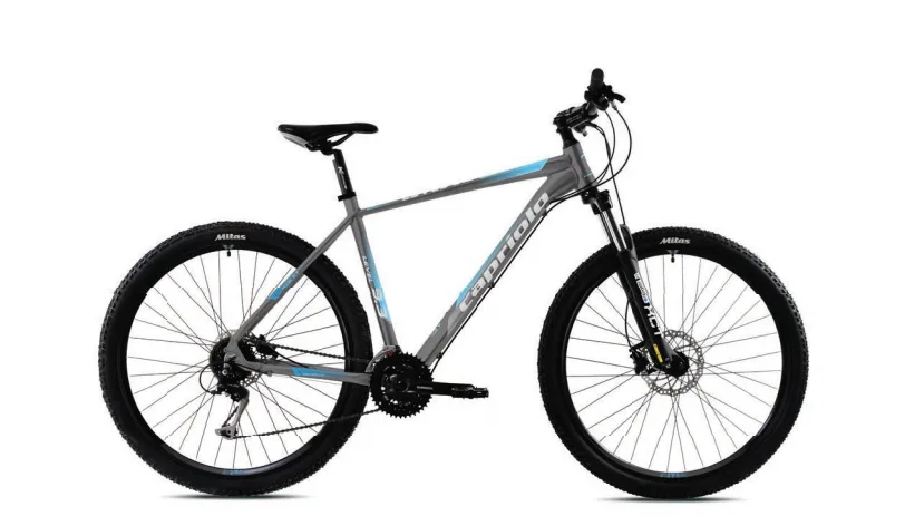Bicicleta MTB 29 Capriolo Level 9.3 gri albastru 19