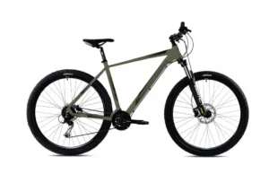 Bicicleta MTB 29 Capriolo Level 9.3 verde gri 21