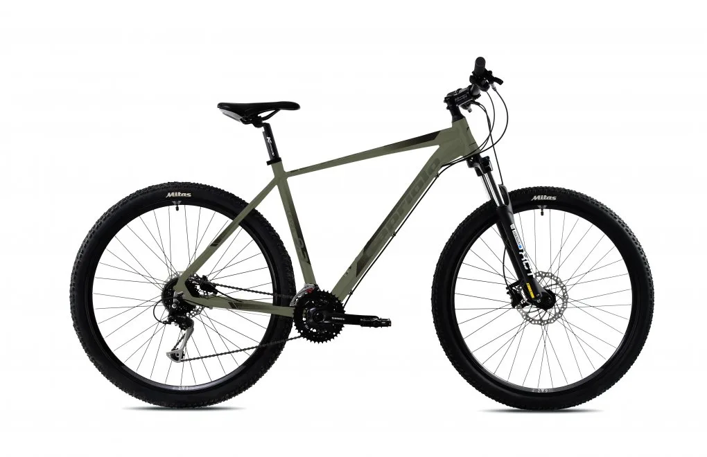 Bicicleta MTB 29 Capriolo Level 9.3 verde gri 21
