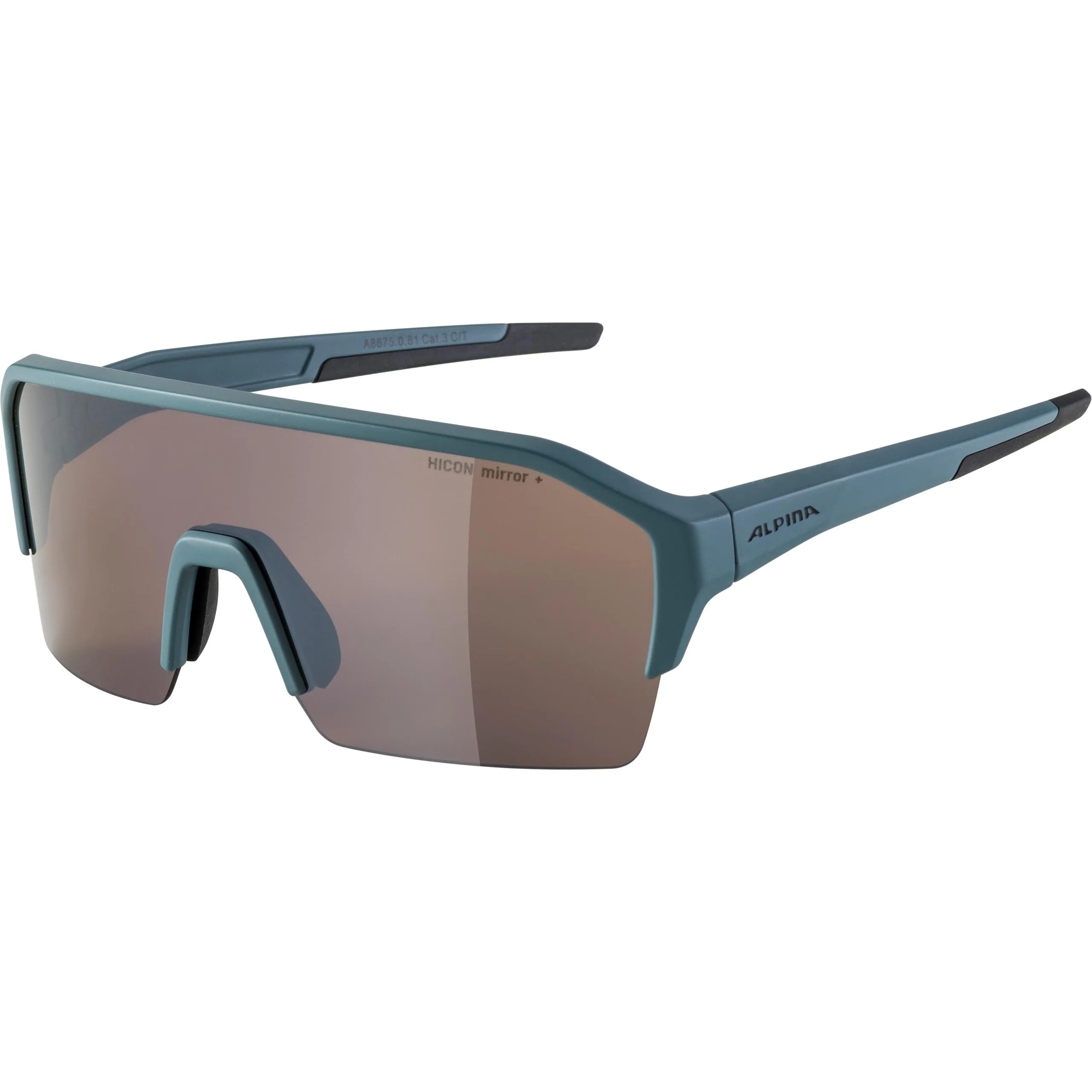 Ochelari ALPINA RAM HR HM+ dirtblue mat