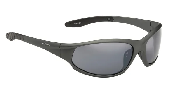 Ochelari ALPINA WYLDER tin mat