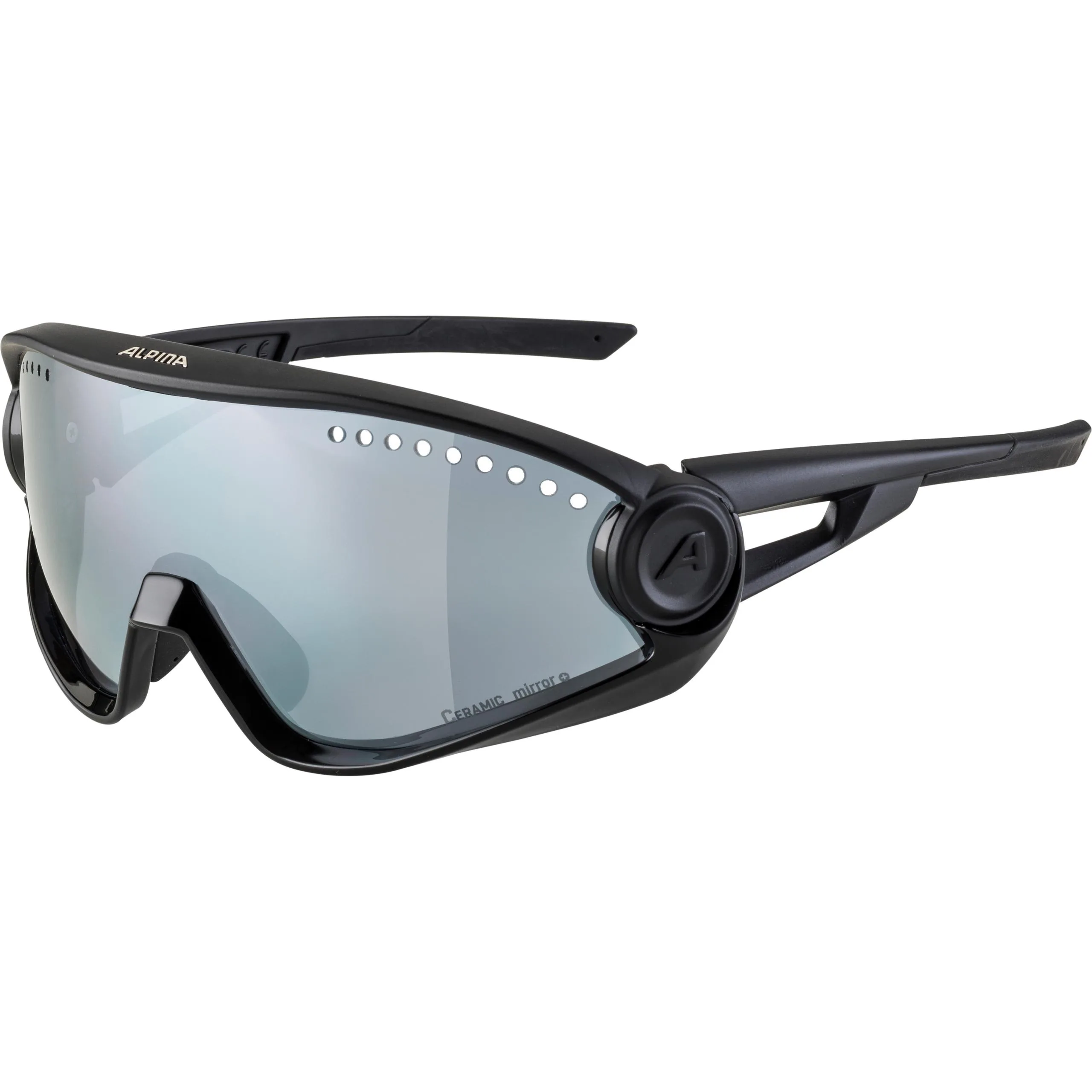 Ochelari ALPINA 5W1NG all black mat