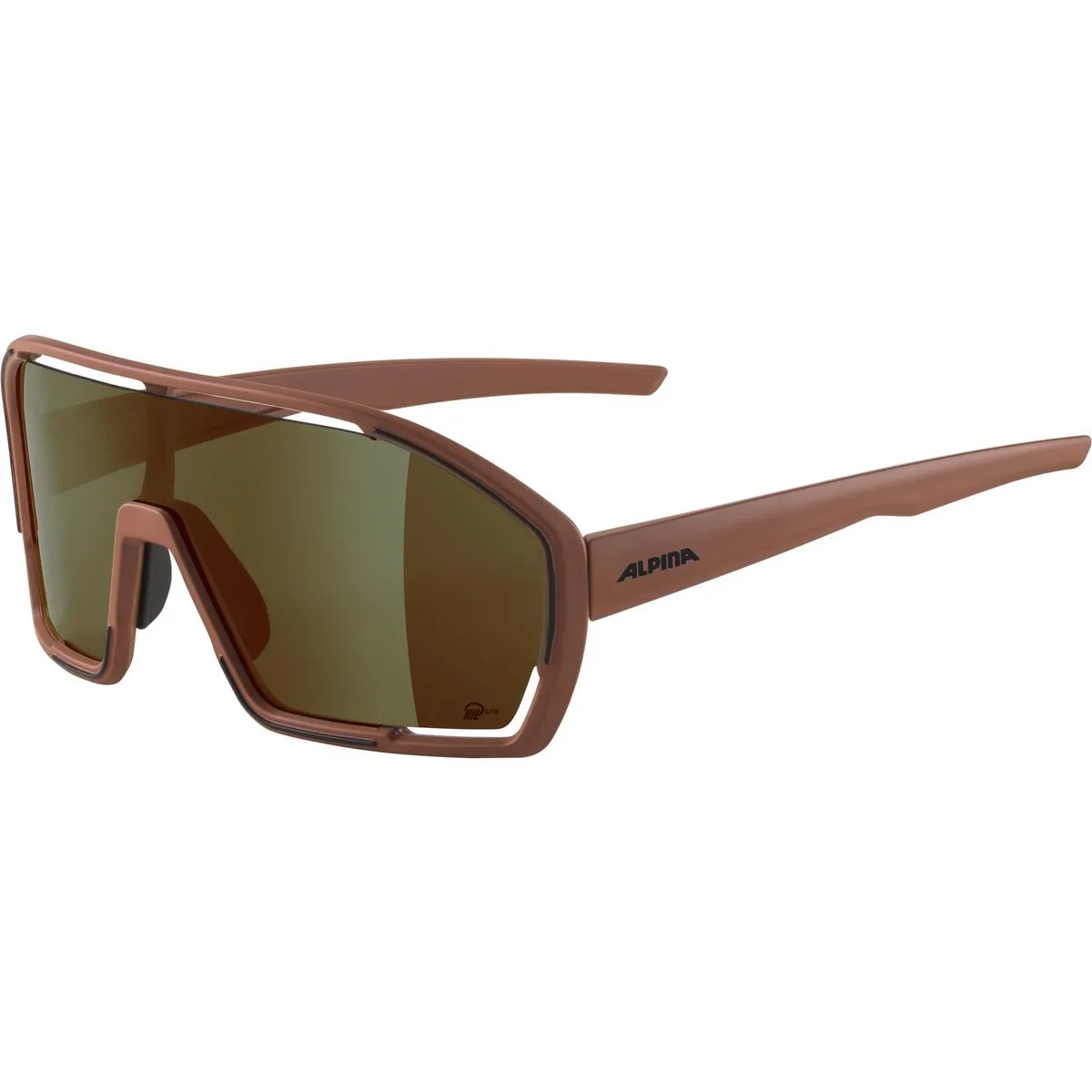 Ochelari ALPINA BONFIRE Q-LITE brick mat 4003692311337