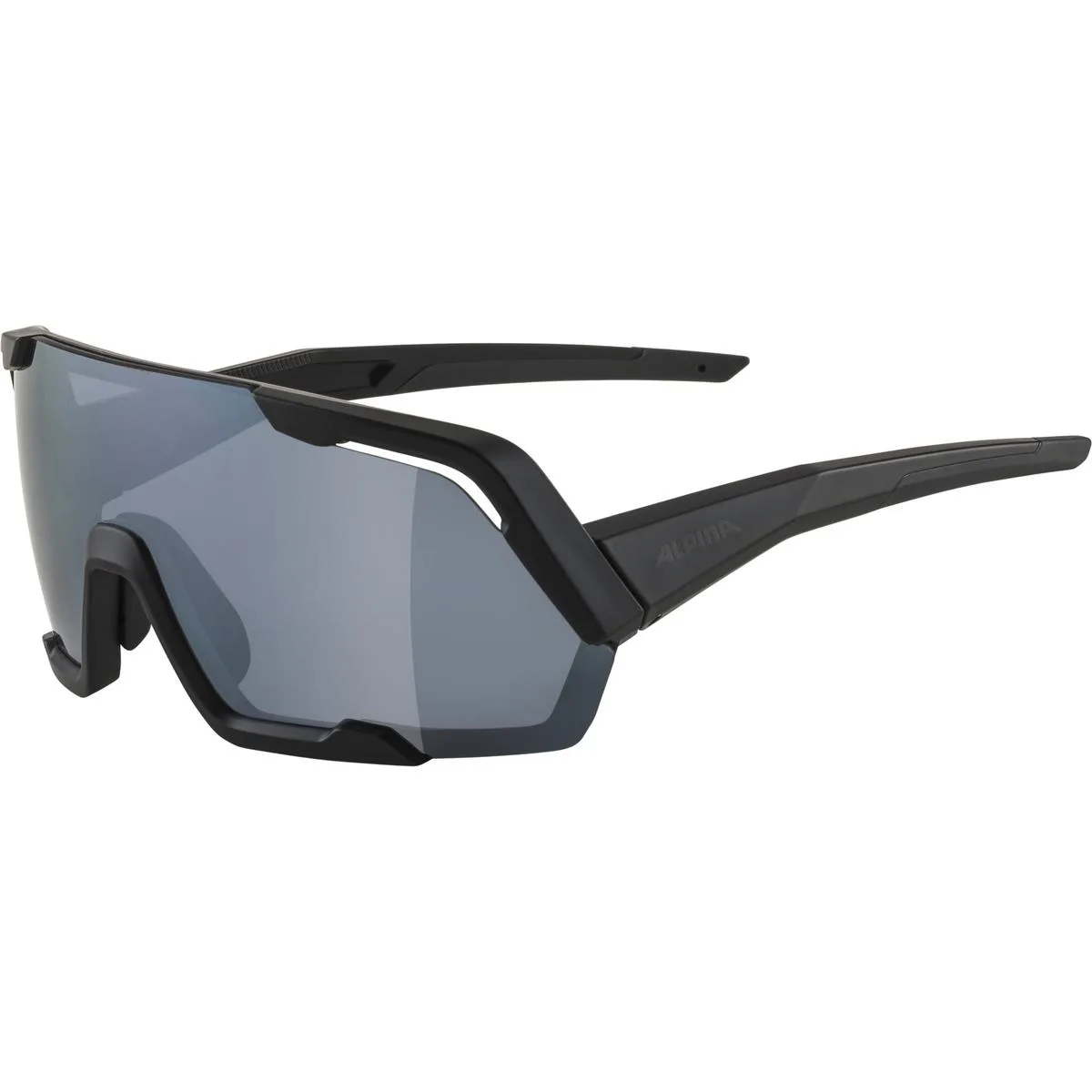 Ochelari ALPINA ROCKET all black mat