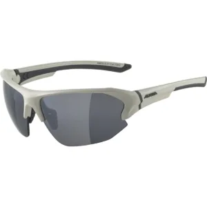 Ochelari ALPINA LYRON HR cool-grey mat