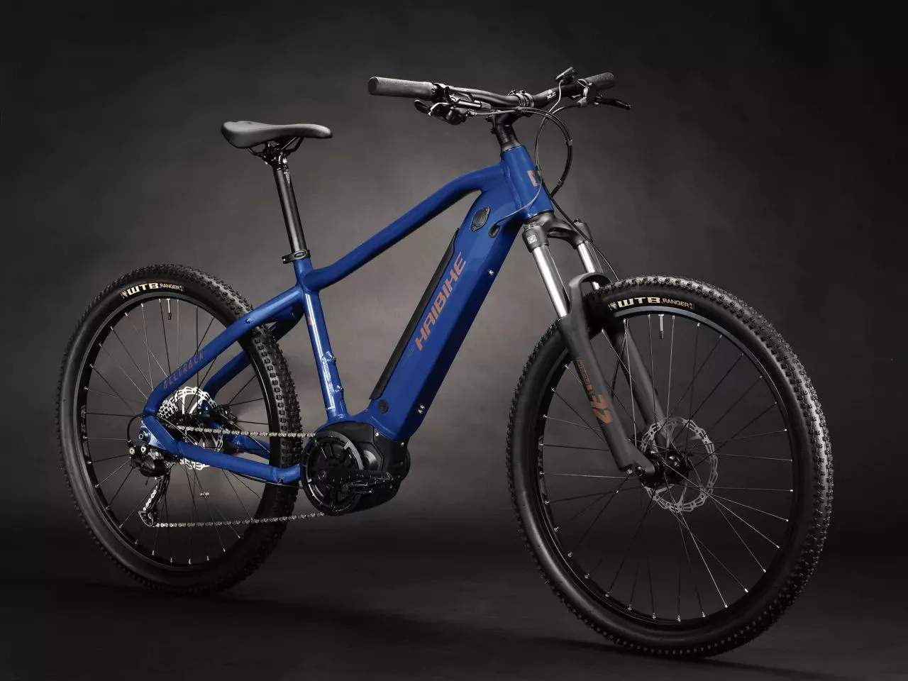 e-bike Haibike Alltrack 4 29 i500Wh 9-G Alivio 2025 L blue leather - imagine 2