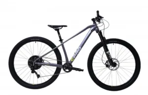Bicicleta MTB 29 Capriolo AL-PHA 9.6 Disc-brake aluminiu gri 17 M