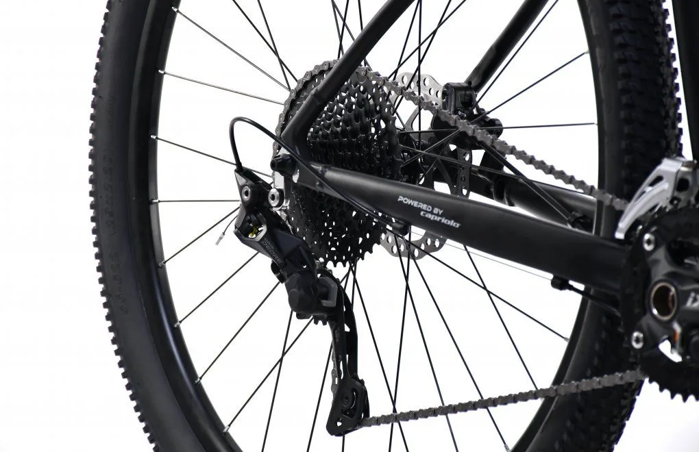 Bicicleta MTB 29 Capriolo AL-PHA 9.5 Disc-brake aluminiu negru 15.5 S - imagine 5