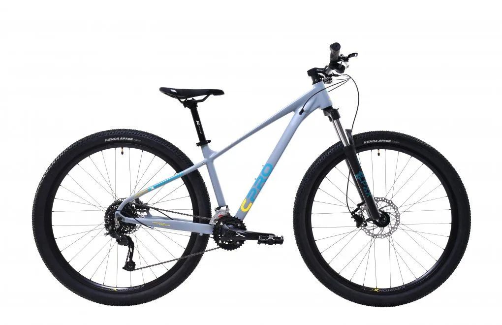 Bicicleta MTB 29 Capriolo AL-PHA 9.4 Disc-brake aluminiu gri 17 M