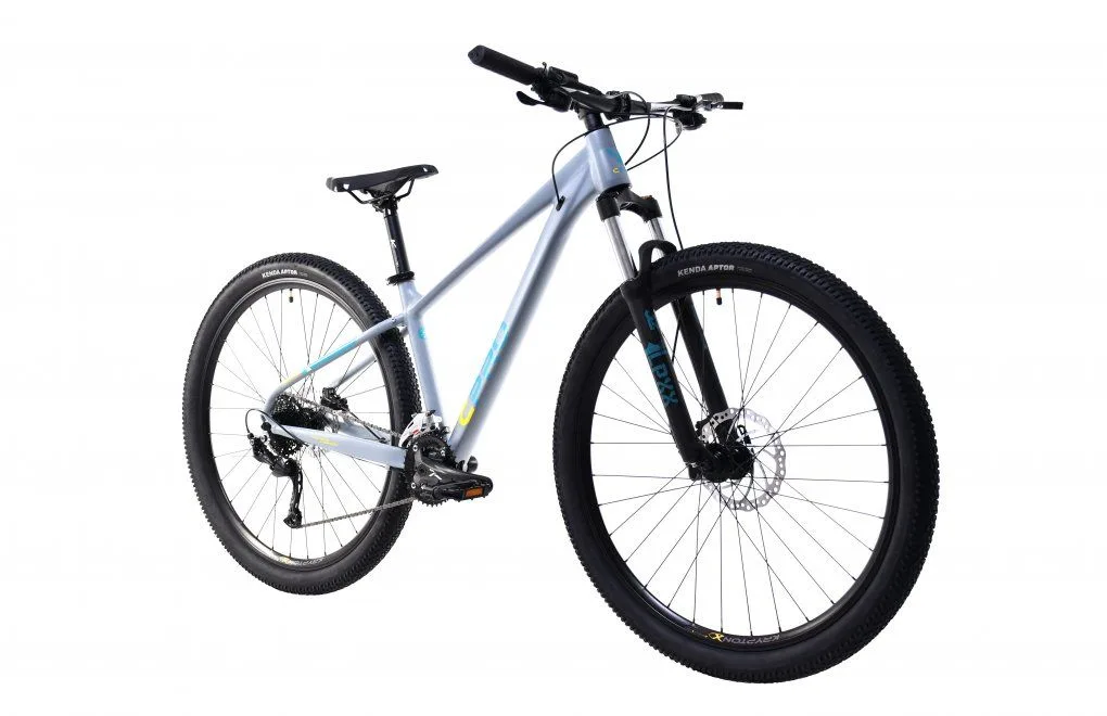 Bicicleta MTB 29 Capriolo AL-PHA 9.4 Disc-brake aluminiu gri 17 M - imagine 2