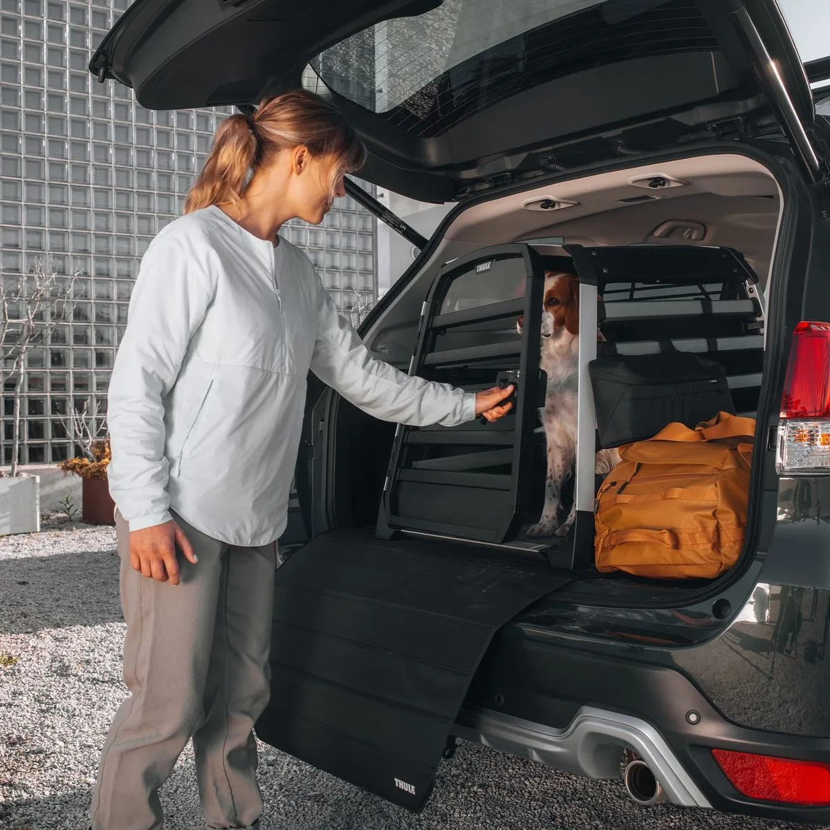 Thule Allax cutie transport caine L compact negru gri - imagine 6