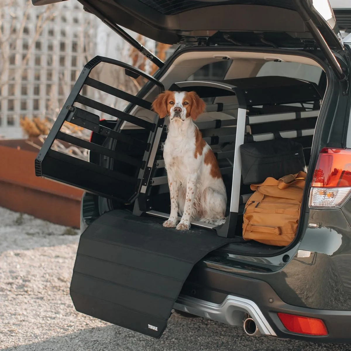 Thule Allax cutie transport caine L compact negru gri - imagine 7