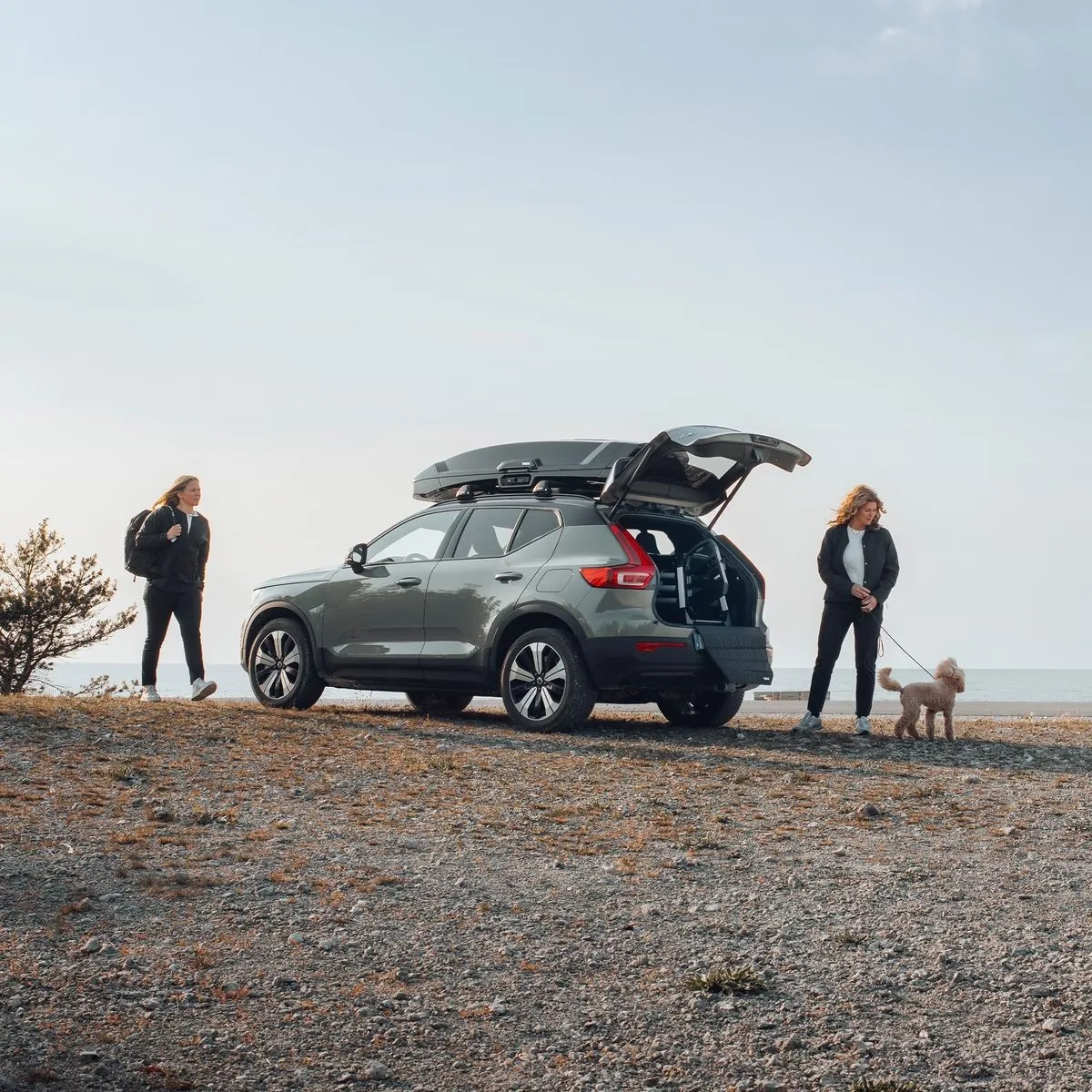 Thule Allax cutie transport caine M negru gri - imagine 8