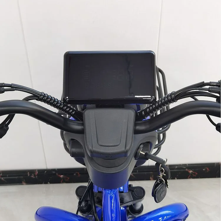 Triciclu electric RDB SINOE PRO, albastru, 1160W, fara permis - imagine 6
