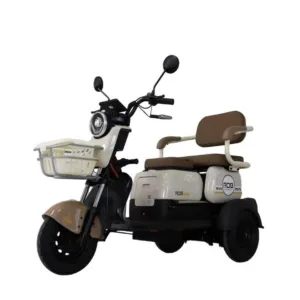 Triciclu electric RDB MINI, maro, 2000W, fara permis