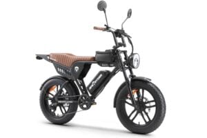 Bicicleta electrica, e-bike APE RYDER Genon Ultra 250W, negru,  fara permis
