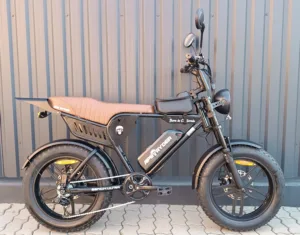 Bicicleta electrica, e-bike APE RYDER Genon Ultra 250W, 48V / 15Ah, negru, fara permis