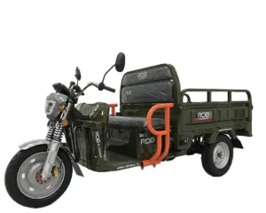 Triciclu electric RDB XL-KLASS4 GRANDE, gri, 4000W, fara permis