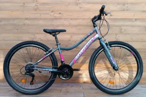 Bicicleta MTB 26 Capriolo Diavolo gri violet 17