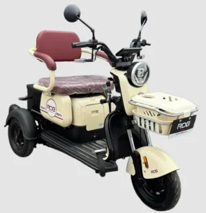 Triciclu electric RDB MINI, alb, 2000W, fara permis