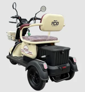 Triciclu electric RDB MINI, alb, 2000W, fara permis - imagine 2